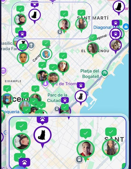 Live map with dogs and sitters